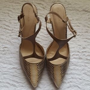 Tahari || Brandy Snake Print T-straps